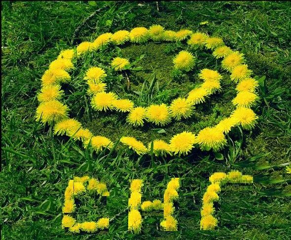 СНГ - С Новым Годом! (лыжи у печки стоят)