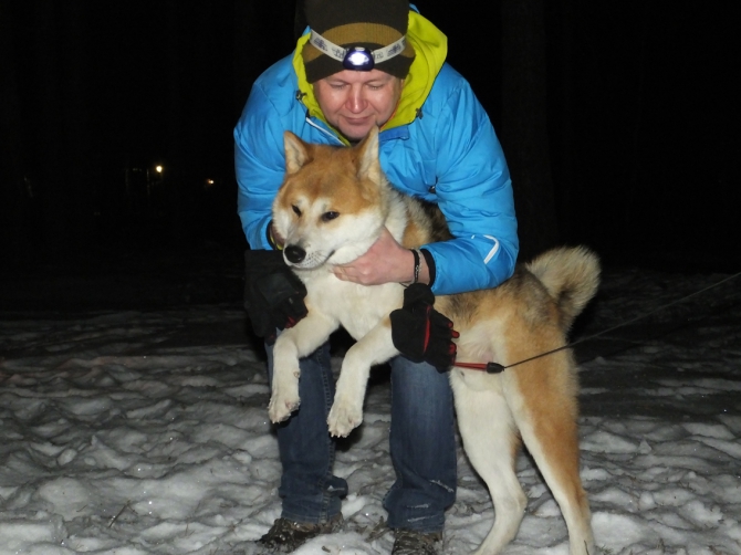 Новогодний экстрим в Чегетском лесу(в продолжение поздравлялки, Горные лыжи/Сноуборд, приэльбрусье, терскльско-чегетский лес)