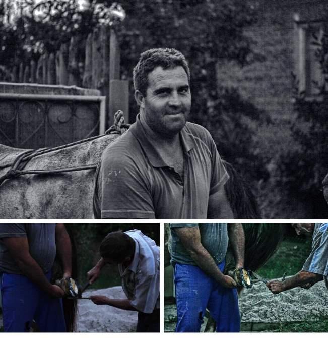 Здравствуй, младший брат, или как я в Болгарии Архыз искала (Путешествия, велосипед, велотуризм, путешествие, болгария, екатерина светлая, варна, вело-поход, вписка, гостеприимство, клуб гостеприимства)