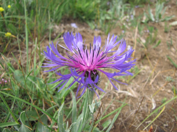 Крым 2010. Ангарский перевал - Алупка. (Горный туризм, горный туризм)