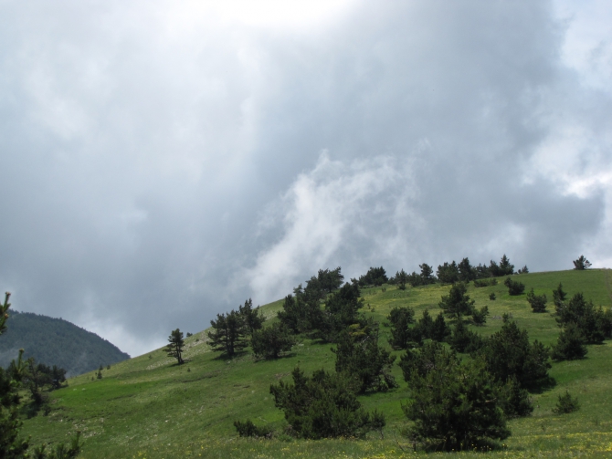 Крым 2010. Ангарский перевал - Алупка. (Горный туризм, горный туризм)