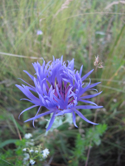 Крым 2011. Байдарская долина - с. Виноградное (возле Алушты, Горный туризм, горный туризм)