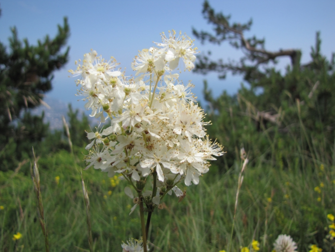 Крым 2011. Байдарская долина - с. Виноградное (возле Алушты, Горный туризм, горный туризм)