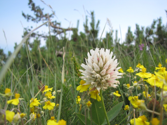 Крым 2011. Байдарская долина - с. Виноградное (возле Алушты, Горный туризм, горный туризм)