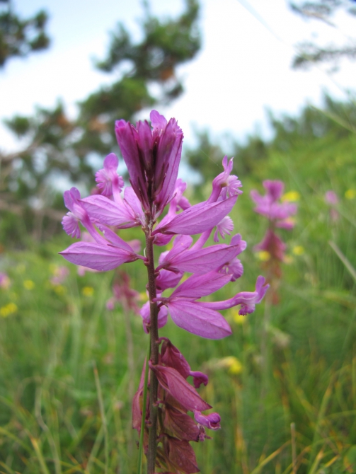 Крым 2011. Байдарская долина - с. Виноградное (возле Алушты, Горный туризм, горный туризм)