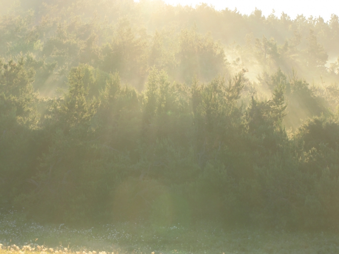 Крым 2011. Байдарская долина - с. Виноградное (возле Алушты, Горный туризм, горный туризм)