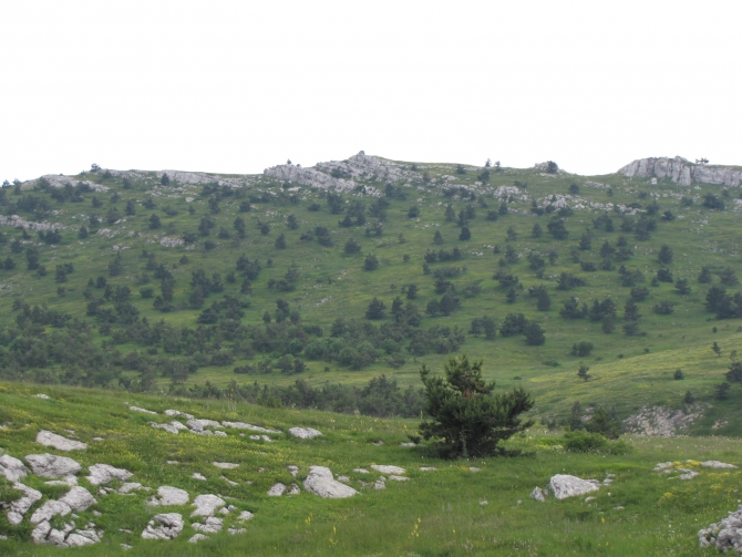 Крым 2011. Байдарская долина - с. Виноградное (возле Алушты, Горный туризм, горный туризм)