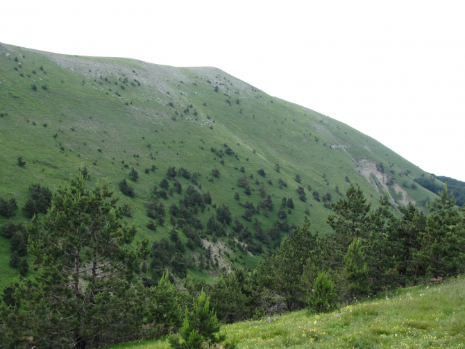 Крым 2011. Байдарская долина - с. Виноградное (возле Алушты, Горный туризм, горный туризм)
