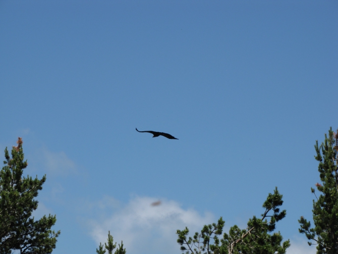 Крым 2011. Байдарская долина - с. Виноградное (возле Алушты, Горный туризм, горный туризм)