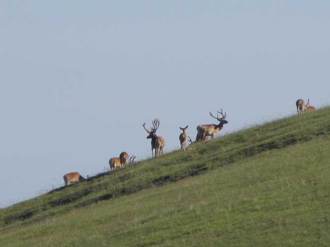 Крым 2011. Байдарская долина - с. Виноградное (возле Алушты, Горный туризм, горный туризм)