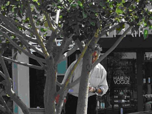 Со старым Новым годом, бывшие (и будущие) детки !