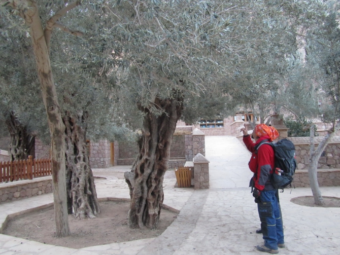 Восхождение на египитскую Сафсафу по «мягким камням» (Альпинизм, сафсафа, египет)