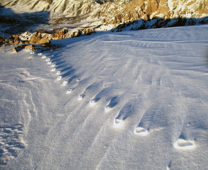 Захотелось поделиться настроением, или на Западном гребне - без перемен. (Альпинизм, ас "йулбарс", чимган зимой)