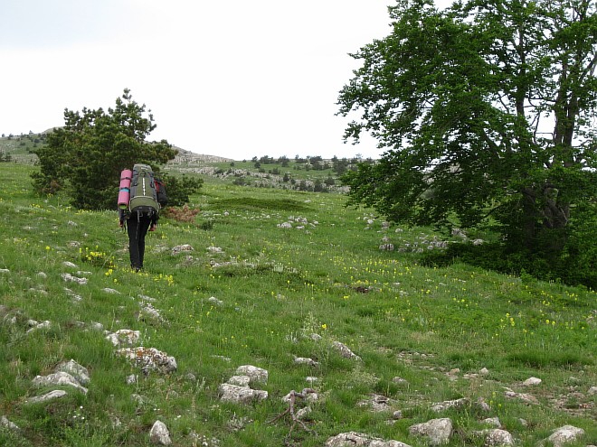 Крым. Июнь 2011. (Горный туризм, горный туризм)