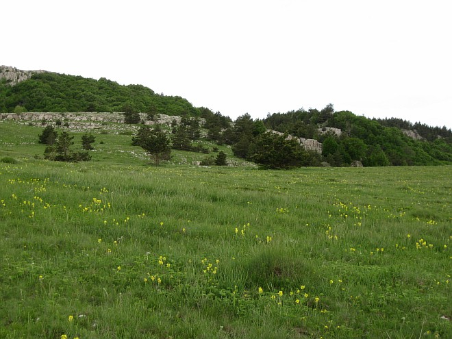 Крым. Июнь 2011. (Горный туризм, горный туризм)