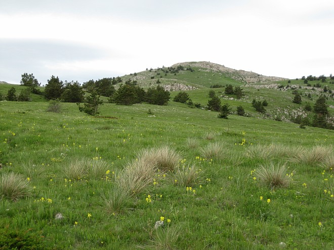 Крым. Июнь 2011. (Горный туризм, горный туризм)