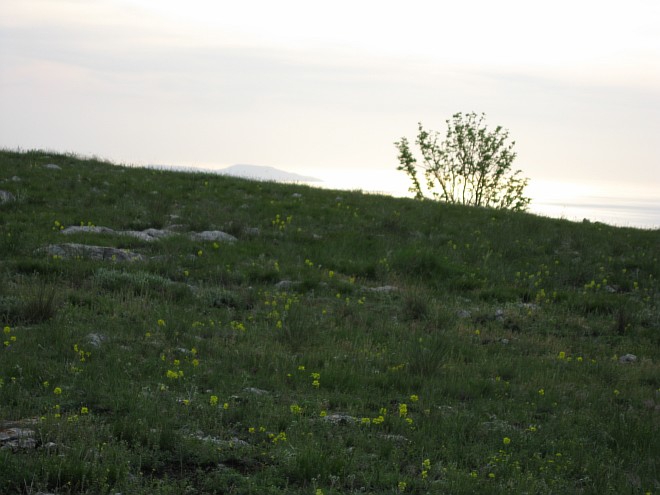 Крым. Июнь 2011. (Горный туризм, горный туризм)