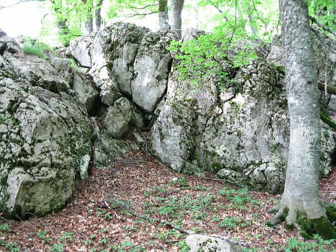 Крым. Июнь 2011. (Горный туризм, горный туризм)