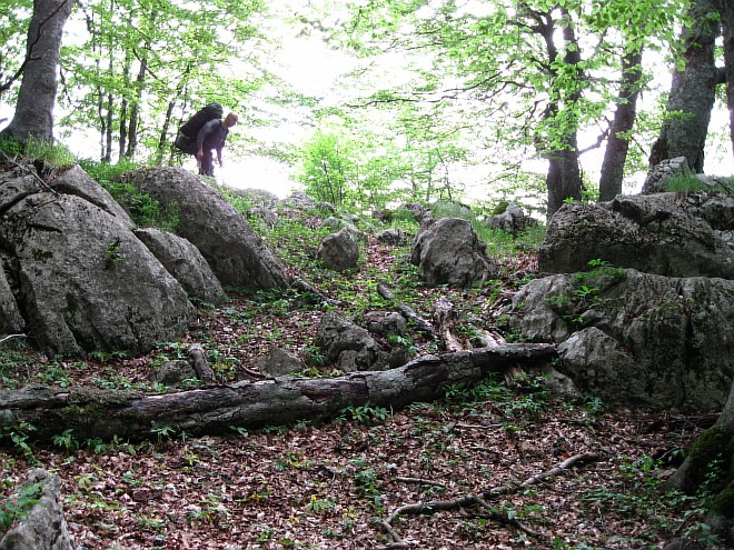 Крым. Июнь 2011. (Горный туризм, горный туризм)