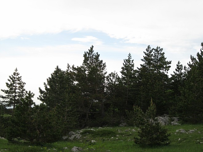 Крым. Июнь 2011. (Горный туризм, горный туризм)