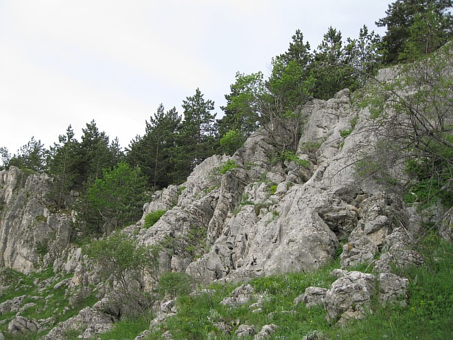 Крым. Июнь 2011. (Горный туризм, горный туризм)