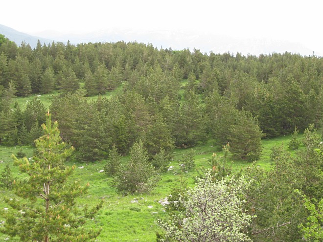 Крым. Июнь 2011. (Горный туризм, горный туризм)