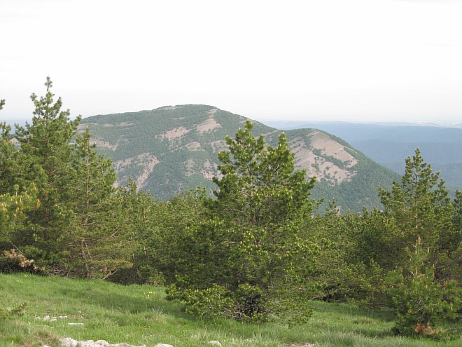 Крым. Июнь 2011. (Горный туризм, горный туризм)