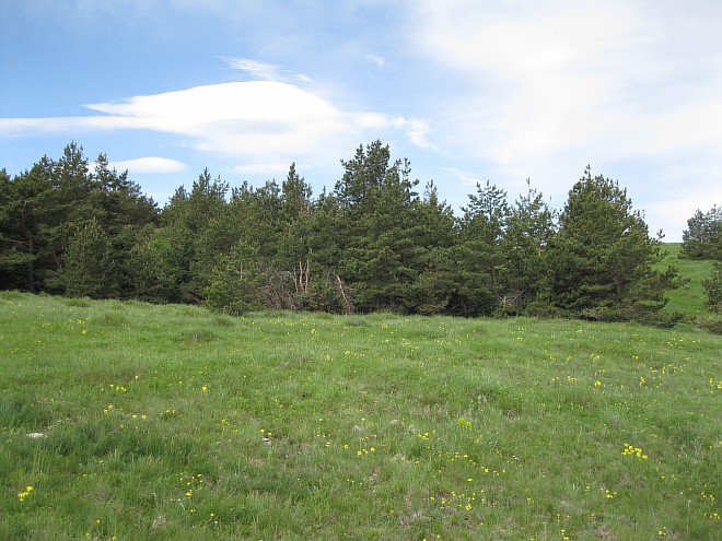 Крым. Июнь 2011. (Горный туризм, горный туризм)