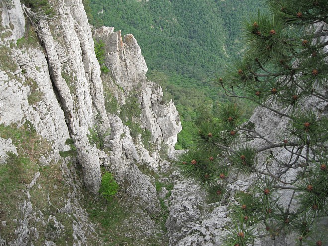 Крым. Июнь 2011. (Горный туризм, горный туризм)