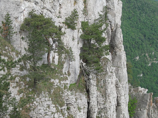 Крым. Июнь 2011. (Горный туризм, горный туризм)