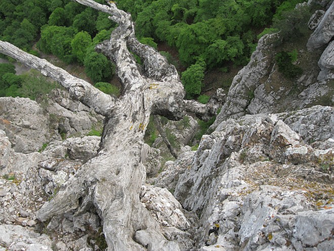 Крым. Июнь 2011. (Горный туризм, горный туризм)