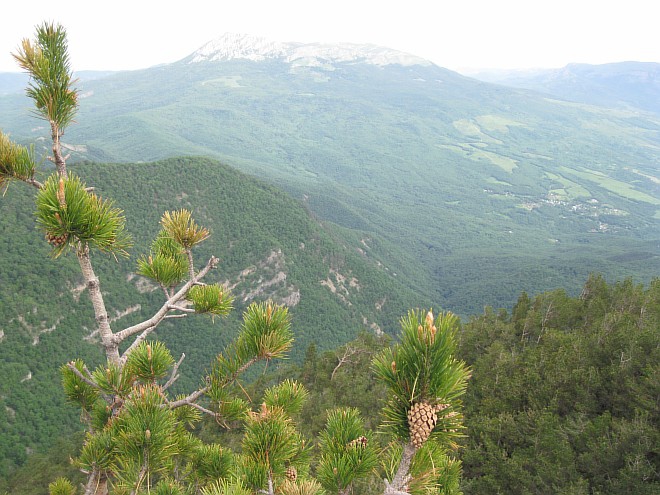 Крым. Июнь 2011. (Горный туризм, горный туризм)