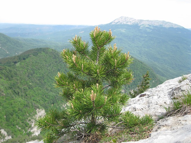 Крым. Июнь 2011. (Горный туризм, горный туризм)