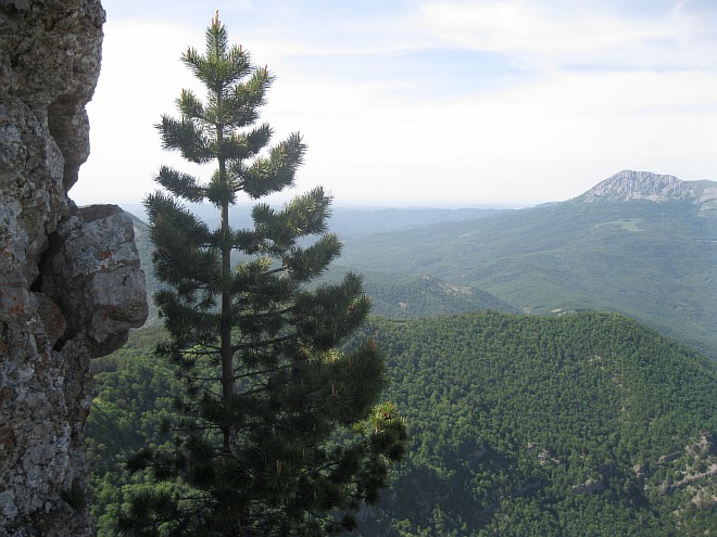 Крым. Июнь 2011. (Горный туризм, горный туризм)