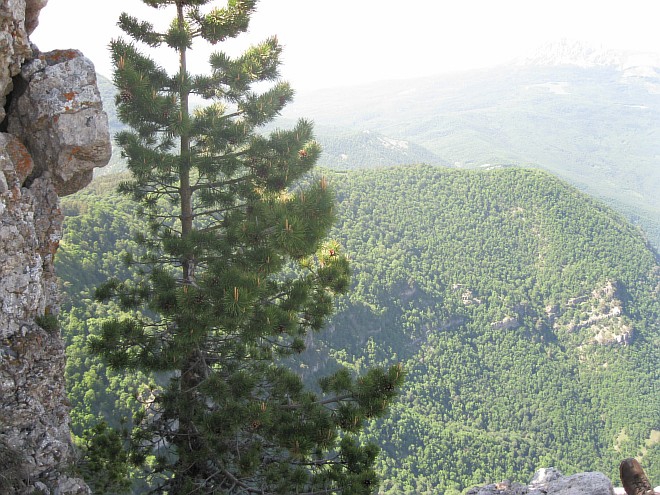 Крым. Июнь 2011. (Горный туризм, горный туризм)