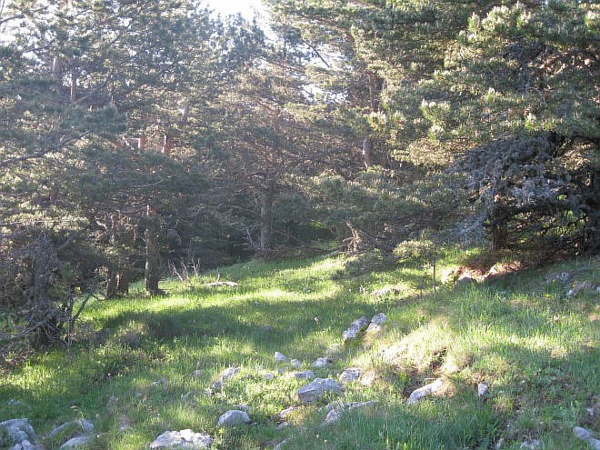 Крым. Июнь 2011. (Горный туризм, горный туризм)