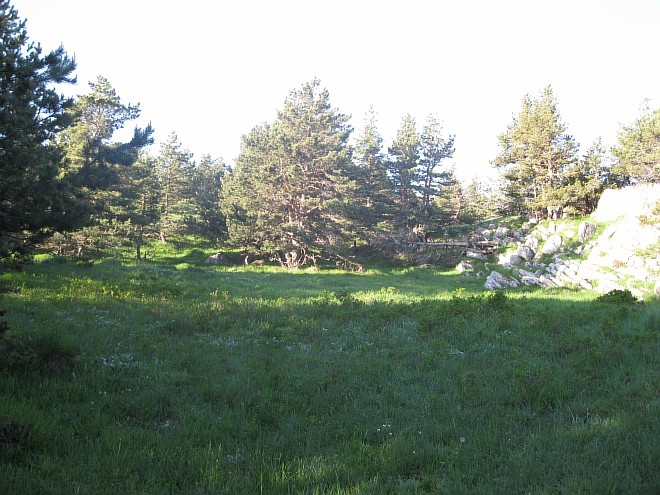 Крым. Июнь 2011. (Горный туризм, горный туризм)