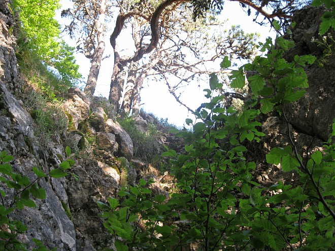 Крым. Июнь 2011. (Горный туризм, горный туризм)