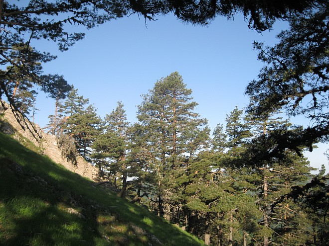 Крым. Июнь 2011. (Горный туризм, горный туризм)