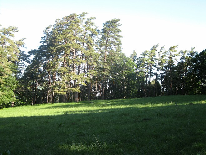 Крым. Июнь 2011. (Горный туризм, горный туризм)