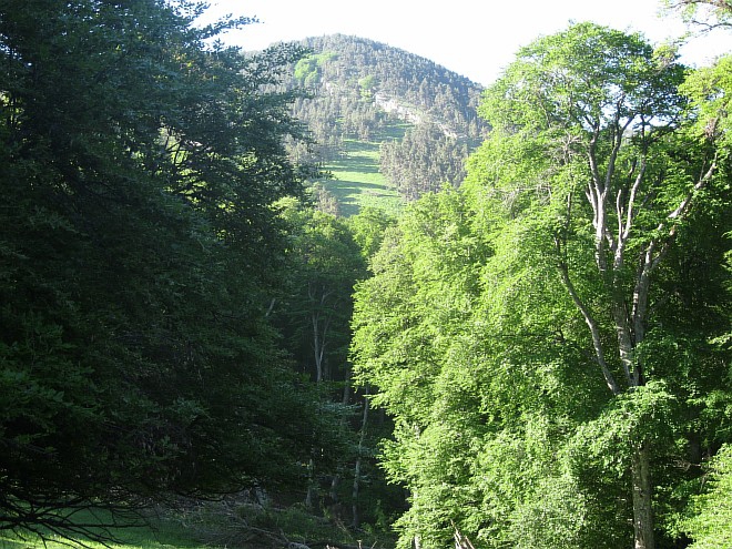 Крым. Июнь 2011. (Горный туризм, горный туризм)