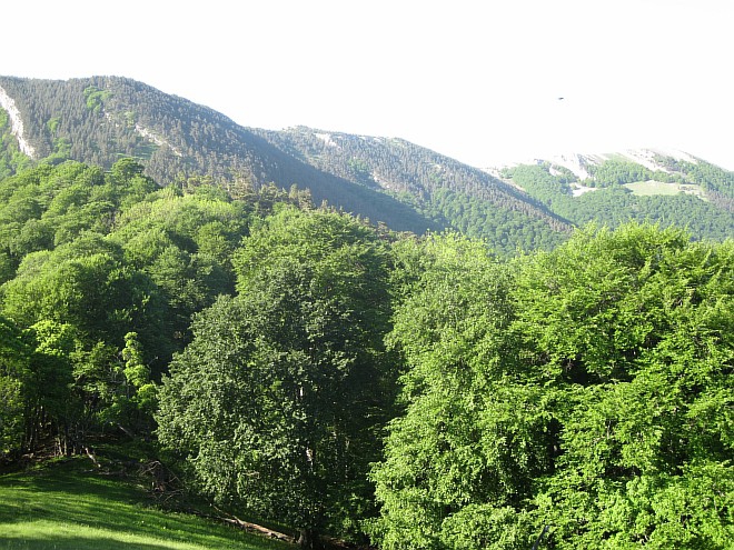 Крым. Июнь 2011. (Горный туризм, горный туризм)