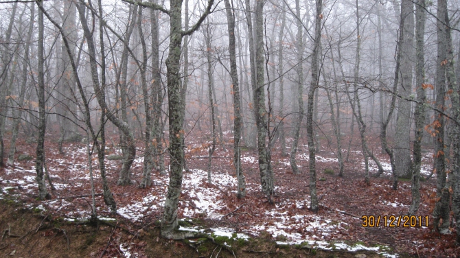 Крым. Зима 2011-2012. (Горный туризм, горный туризм)