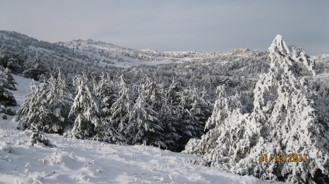 Крым. Зима 2011-2012. (Горный туризм, горный туризм)