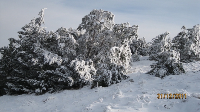 Крым. Зима 2011-2012. (Горный туризм, горный туризм)