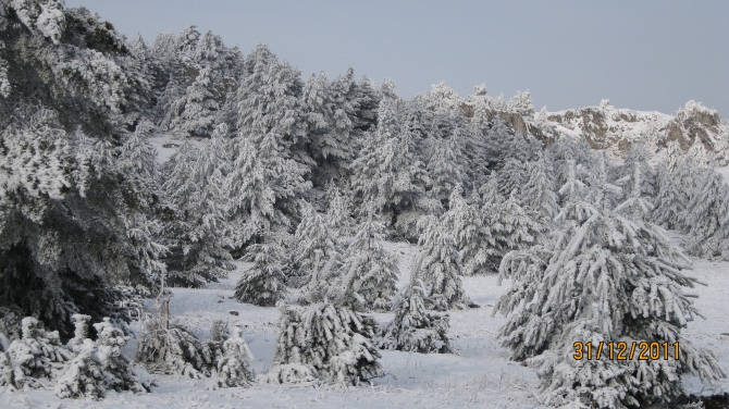 Крым. Зима 2011-2012. (Горный туризм, горный туризм)