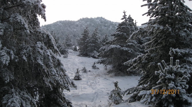 Крым. Зима 2011-2012. (Горный туризм, горный туризм)