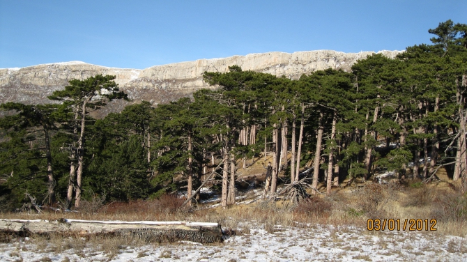 Крым. Зима 2011-2012. (Горный туризм, горный туризм)