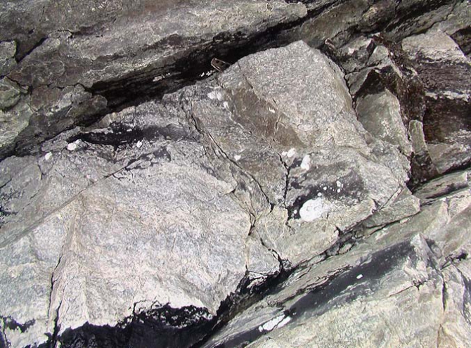 Суганбаши по правой части Восточной стены... Фотоотчет (Альпинизм, северная осетия, дигория, 6а)