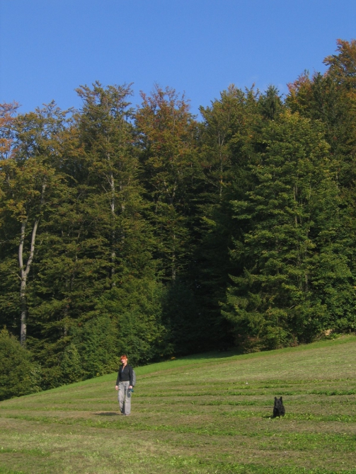 Фотозарисовка "Франкенюра" (Скалолазание, бавария, германия, dav-club-russland, скалолазание)